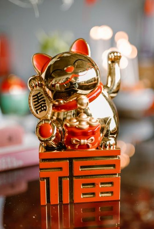 phản hồi May88